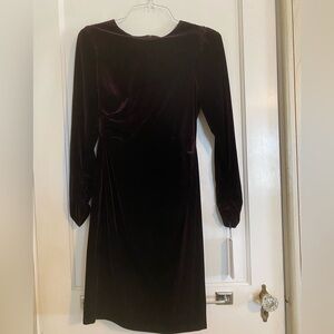 Calvin Klein Long-Sleeve Velvet Dress in Deep Plum